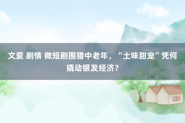 文爱 剧情 微短剧围猎中老年，“土味甜宠”凭何撬动银发经济？