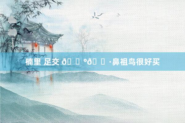 楠里 足交 🇰🇷鼻祖鸟很好买