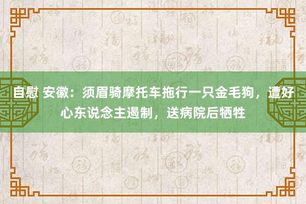 自慰 安徽：须眉骑摩托车拖行一只金毛狗，遭好心东说念主遏制，送病院后牺牲