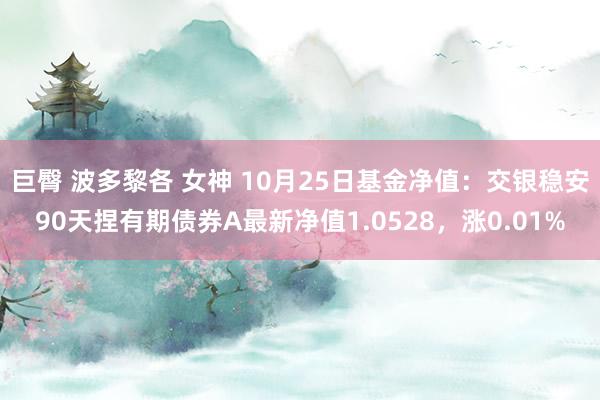 巨臀 波多黎各 女神 10月25日基金净值：交银稳安90天捏有期债券A最新净值1.0528，涨0.01%