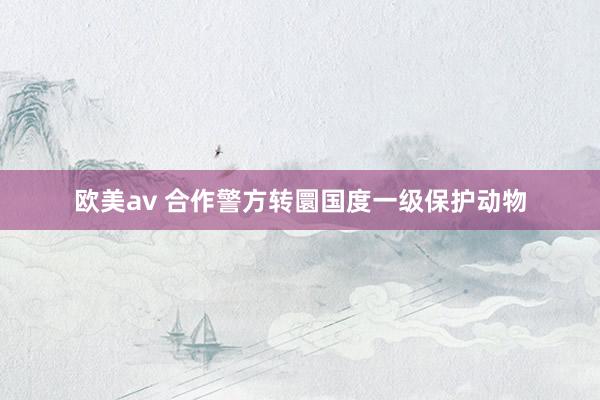 欧美av 合作警方转圜国度一级保护动物