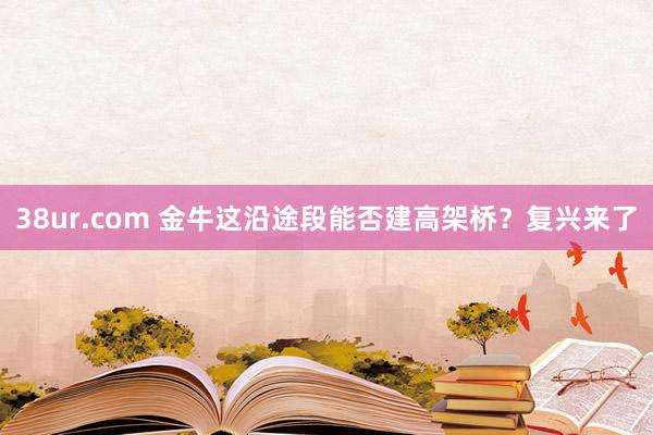 38ur.com 金牛这沿途段能否建高架桥？复兴来了