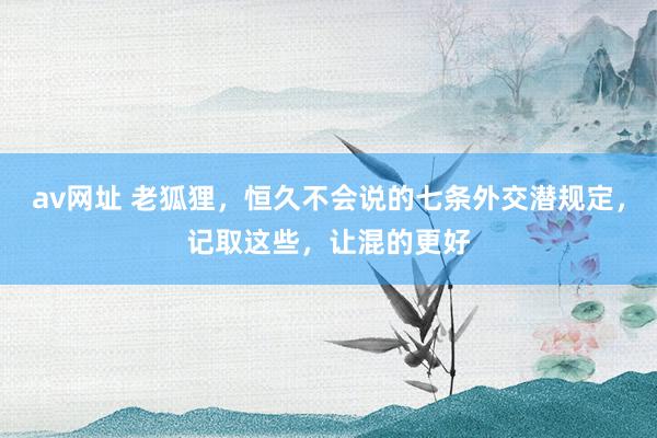 av网址 老狐狸，恒久不会说的七条外交潜规定，记取这些，让混的更好