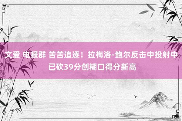 文爱 电报群 苦苦追逐！拉梅洛-鲍尔反击中投射中 已砍39分创糊口得分新高