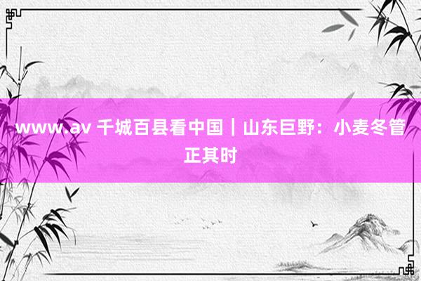 www.av 千城百县看中国｜山东巨野：小麦冬管正其时
