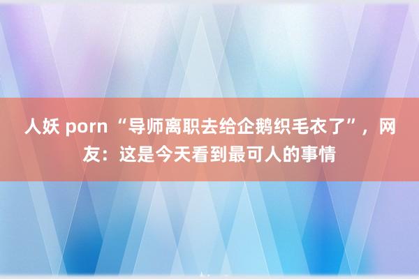 人妖 porn “导师离职去给企鹅织毛衣了”，网友：这是今天看到最可人的事情