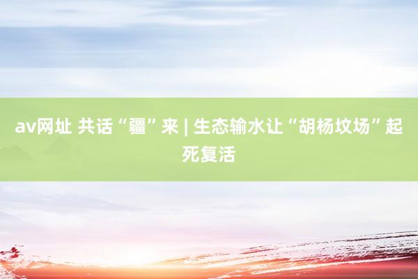av网址 共话“疆”来 | 生态输水让“胡杨坟场”起死复活