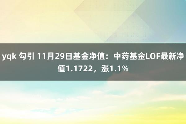 yqk 勾引 11月29日基金净值：中药基金LOF最新净值1.1722，涨1.1%