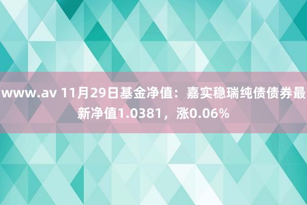 www.av 11月29日基金净值：嘉实稳瑞纯债债券最新净值1.0381，涨0.06%