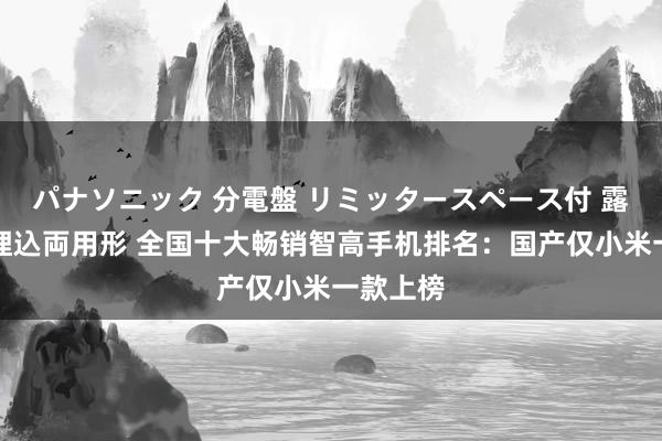 パナソニック 分電盤 リミッタースペース付 露出・半埋込両用形 全国十大畅销智高手机排名：国产仅小米一款上榜