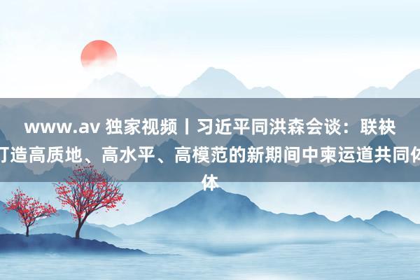 www.av 独家视频丨习近平同洪森会谈：联袂打造高质地、高水平、高模范的新期间中柬运道共同体