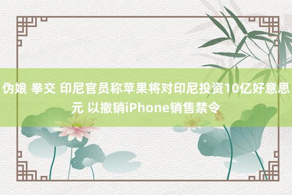 伪娘 拳交 印尼官员称苹果将对印尼投资10亿好意思元 以撤销iPhone销售禁令