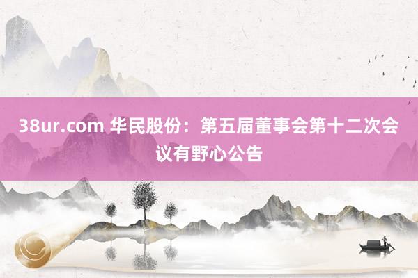 38ur.com 华民股份：第五届董事会第十二次会议有野心公告