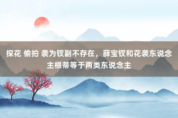 探花 偷拍 袭为钗副不存在，薛宝钗和花袭东说念主根蒂等于两类东说念主