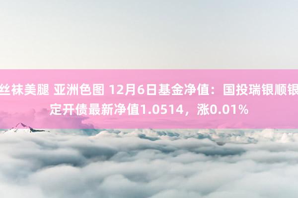丝袜美腿 亚洲色图 12月6日基金净值：国投瑞银顺银定开债最新净值1.0514，涨0.01%