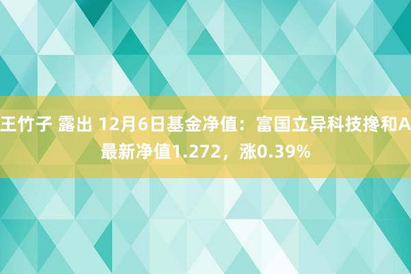 王竹子 露出 12月6日基金净值：富国立异科技搀和A最新净值1.272，涨0.39%