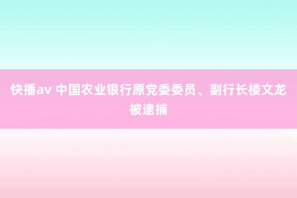 快播av 中国农业银行原党委委员、副行长楼文龙被逮捕