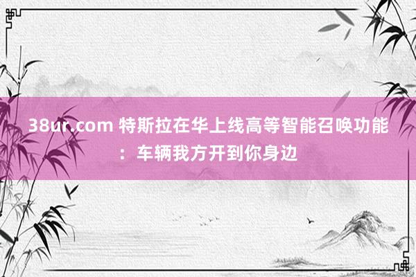 38ur.com 特斯拉在华上线高等智能召唤功能：车辆我方开到你身边