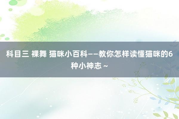 科目三 裸舞 猫咪小百科——教你怎样读懂猫咪的6种小神志～