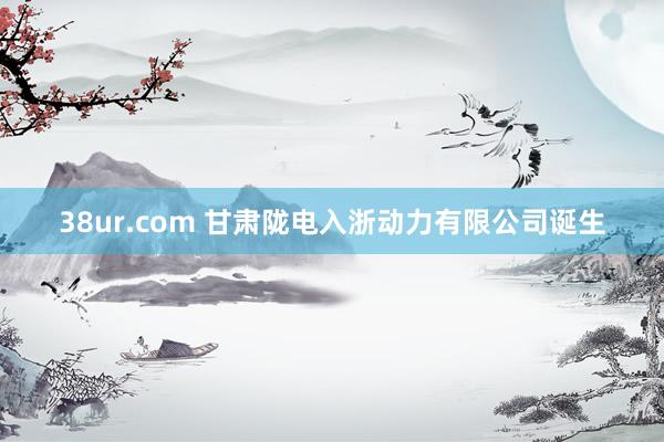 38ur.com 甘肃陇电入浙动力有限公司诞生