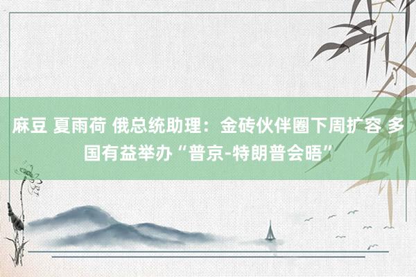 麻豆 夏雨荷 俄总统助理：金砖伙伴圈下周扩容 多国有益举办“普京-特朗普会晤”