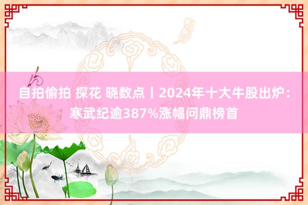 自拍偷拍 探花 晓数点丨2024年十大牛股出炉：寒武纪逾387%涨幅问鼎榜首