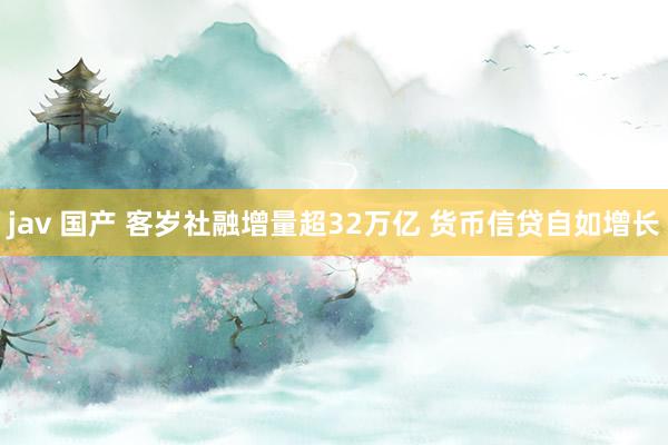 jav 国产 客岁社融增量超32万亿 货币信贷自如增长
