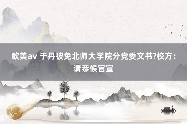 欧美av 于丹被免北师大学院分党委文书?校方：请恭候官宣