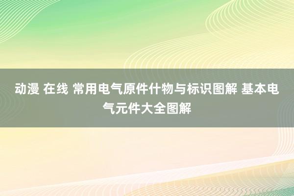 动漫 在线 常用电气原件什物与标识图解 基本电气元件大全图解