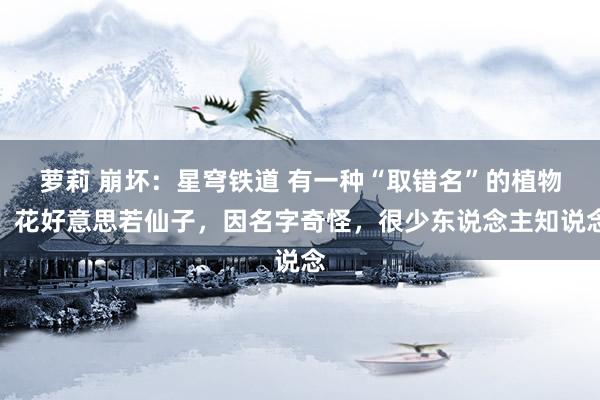 萝莉 崩坏：星穹铁道 有一种“取错名”的植物，花好意思若仙子，因名字奇怪，很少东说念主知说念