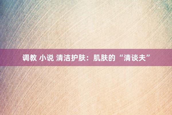 调教 小说 清洁护肤：肌肤的 “清谈夫”