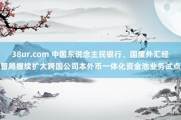 38ur.com 中国东说念主民银行、国度外汇经管局握续扩大跨国公司本外币一体化资金池业务试点