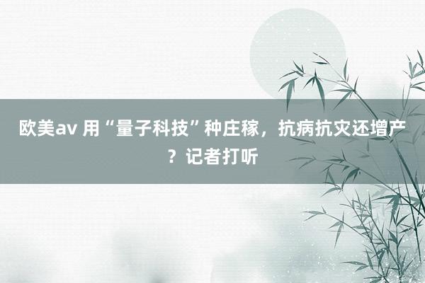 欧美av 用“量子科技”种庄稼，抗病抗灾还增产？记者打听