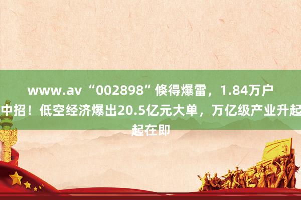 www.av “002898”倏得爆雷，1.84万户股东中招！低空经济爆出20.5亿元大单，万亿级产业升起在即