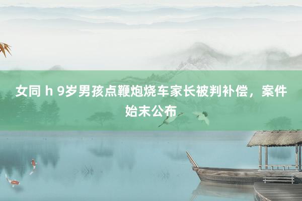 女同 h 9岁男孩点鞭炮烧车家长被判补偿，案件始末公布