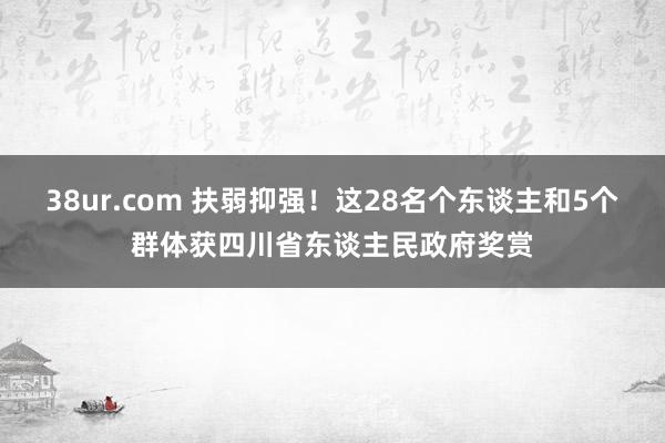 38ur.com 扶弱抑强！这28名个东谈主和5个群体获四川省东谈主民政府奖赏