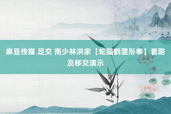 麻豆传媒 足交 南少林洪家【蛇猫鹤混形拳】套路及移交演示
