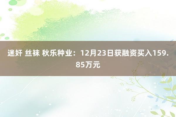 迷奸 丝袜 秋乐种业：12月23日获融资买入159.85万元