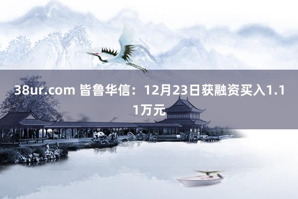 38ur.com 皆鲁华信：12月23日获融资买入1.11万元