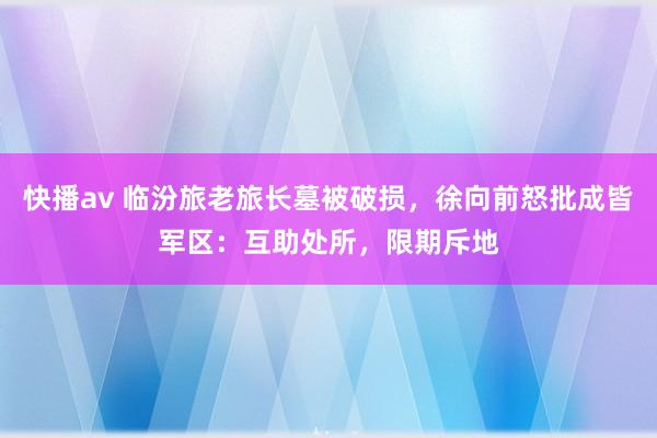 快播av 临汾旅老旅长墓被破损，徐向前怒批成皆军区：互助处所，限期斥地