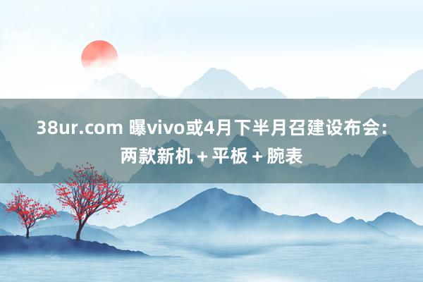 38ur.com 曝vivo或4月下半月召建设布会：两款新机＋平板＋腕表