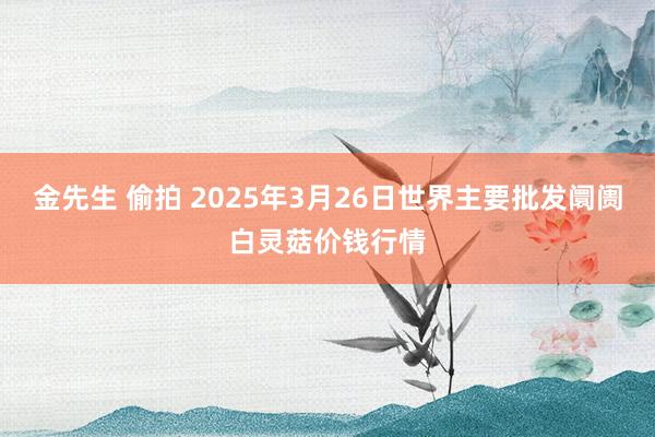 金先生 偷拍 2025年3月26日世界主要批发阛阓白灵菇价钱行情