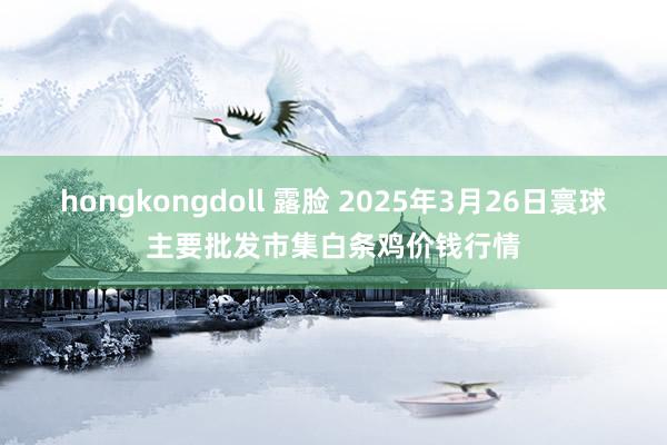hongkongdoll 露脸 2025年3月26日寰球主要批发市集白条鸡价钱行情