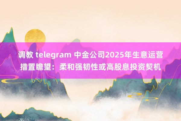 调教 telegram 中金公司2025年生意运营措置瞻望：柔和强韧性或高股息投资契机
