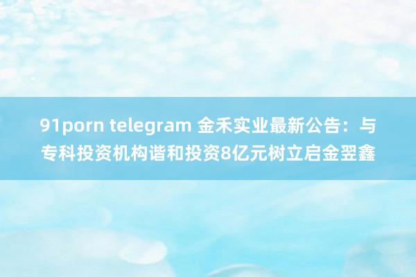 91porn telegram 金禾实业最新公告：与专科投资机构谐和投资8亿元树立启金翌鑫