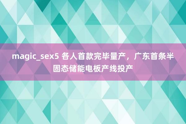 magic_sex5 各人首款完毕量产，广东首条半固态储能电板产线投产