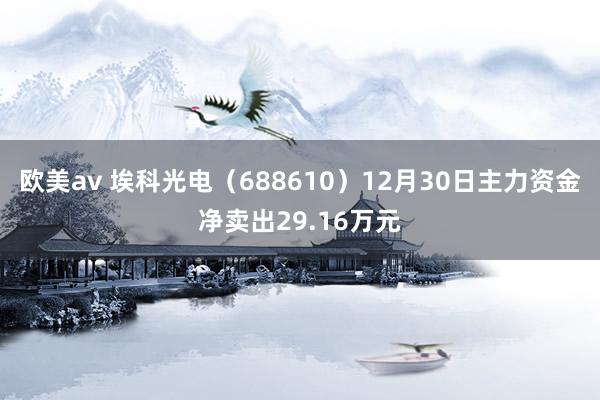 欧美av 埃科光电（688610）12月30日主力资金净卖出29.16万元