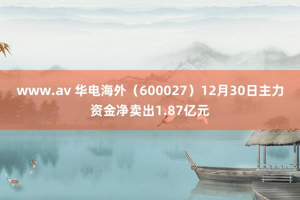www.av 华电海外（600027）12月30日主力资金净卖出1.87亿元