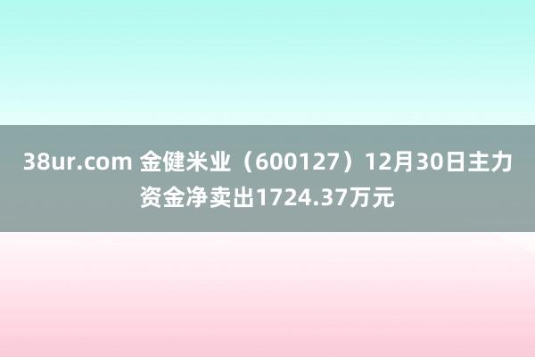 38ur.com 金健米业（600127）12月30日主力资金净卖出1724.37万元
