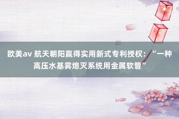 欧美av 航天朝阳赢得实用新式专利授权：“一种高压水基雾熄灭系统用金属软管”